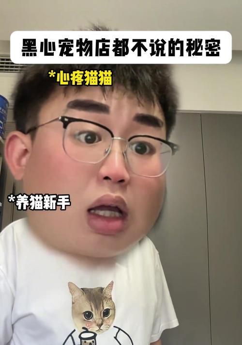 剃毛后，猫要多久才能长出新的毛？（揭秘猫咪毛发生长周期与特点）