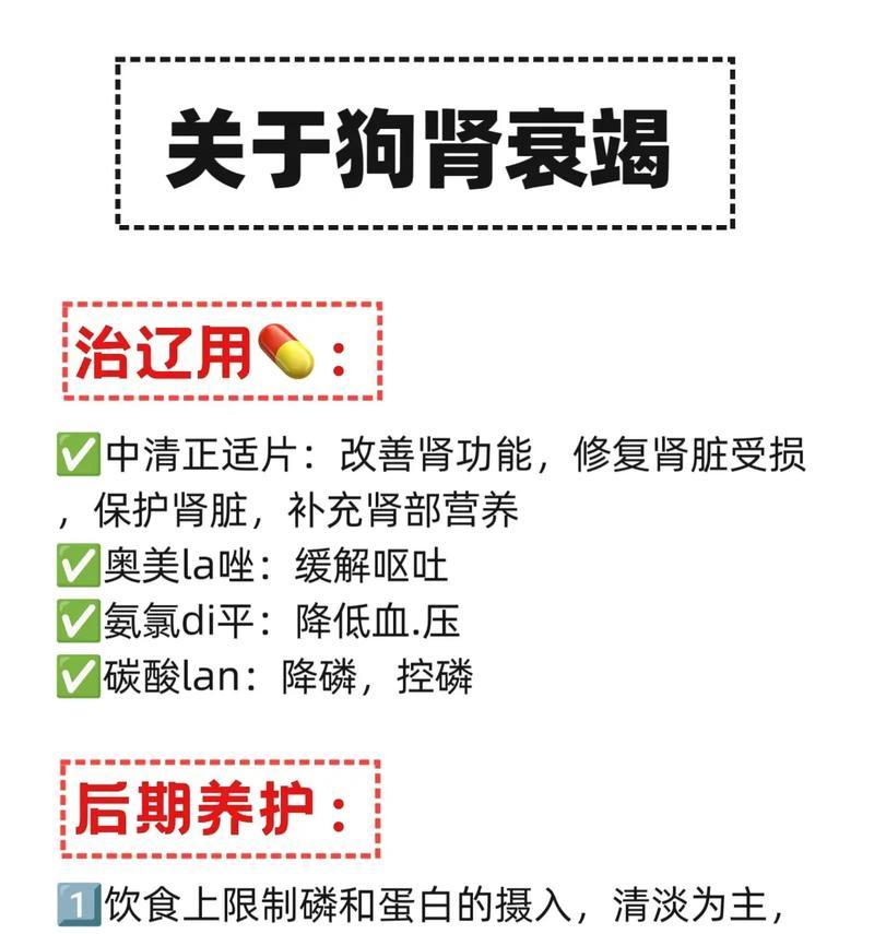狗狗肾衰治疗经验分享——保护你的爱宠健康（没有完美的预防方法，但我们可以尽力延缓疾病的发展）