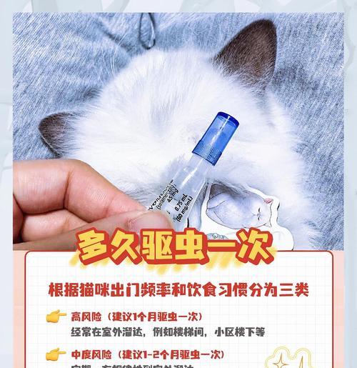 小猫驱虫须知（小猫驱虫的注意事项及最佳时机）