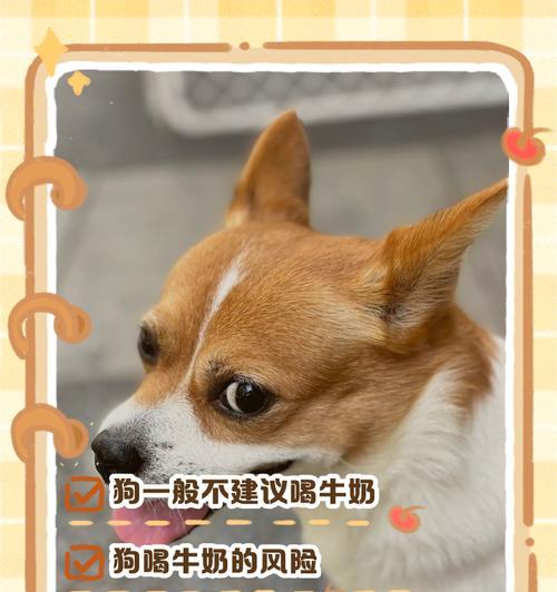 幼犬的酸奶喂养时间和频率（饲养幼犬，正确掌握酸奶喂养时机和方法）