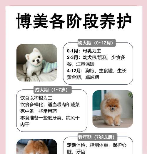 博美的起源与品种分类（了解博美犬的历史和不同品种的特点）