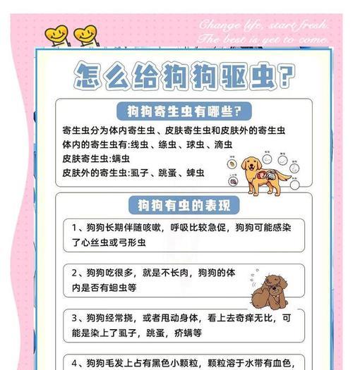 狗的驱虫频率及注意事项（了解狗狗的驱虫时间表，保护它们免受寄生虫侵害）