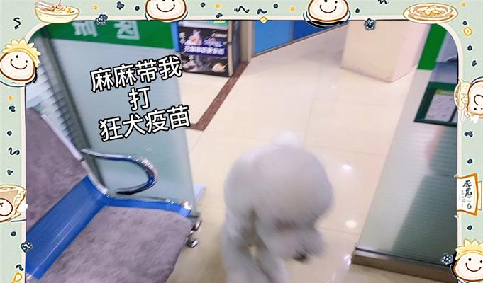 接种狂犬疫苗后多久可以洗澡？（洗澡时需要注意的事项及预防感染的。）