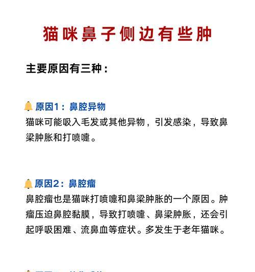 猫咪鼻头发干是否意味着生病？解析猫咪鼻子干燥的真正征兆（了解猫咪鼻子干燥的常见原因和应对方法）