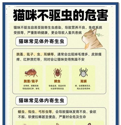 猫咪驱虫后需要禁食多久？（科学指南告诉你禁食的重要性和时间）