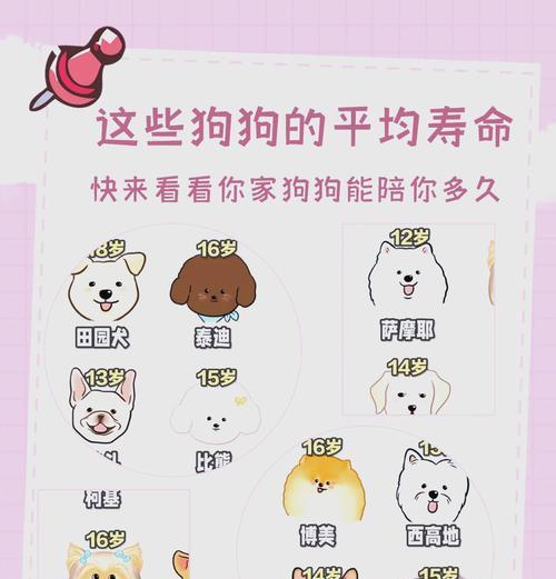 揭秘狗狗的寿命之谜（了解影响狗狗寿命的关键因素及如何延长寿命）