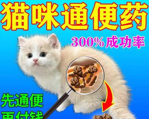 猫吃东西后多久排泄？（揭秘猫咪的消化系统，解答你的疑惑！）