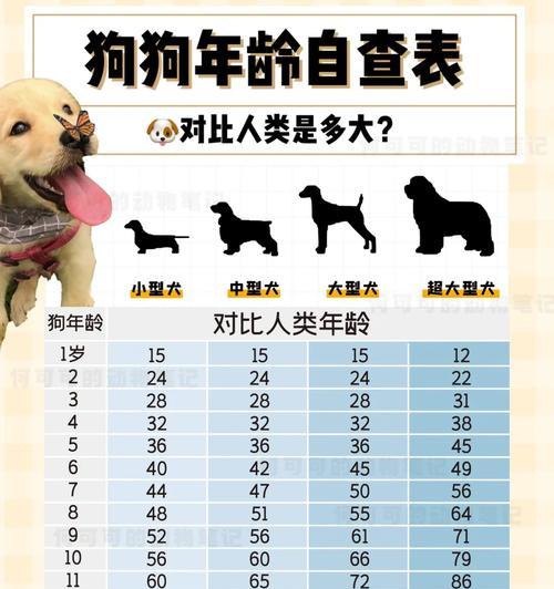 探索阿拉斯加（揭秘阿拉斯加人的长寿秘诀）