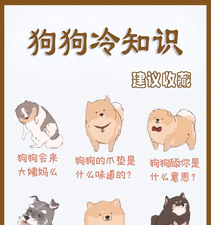 狗狗月经（探讨狗狗月经结束后的生理变化和护理方法）