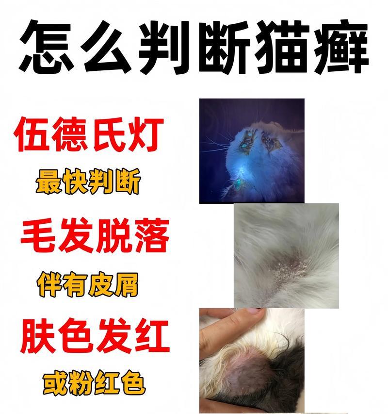 全身猫癣治愈时间及方法探究（全身猫癣病情严重时，治疗需耐心持久）