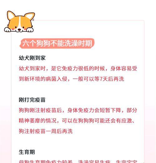 幼犬洗澡频率的正确把握（每3个月洗一次，）