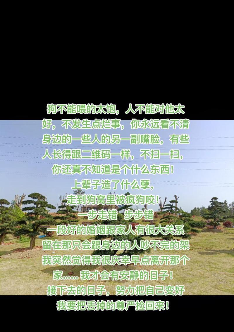 为什么狗不能吃得太饱？（狗的饮食需求和影响）