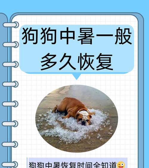揭秘藿香正气水治疗狗狗急性中暑的真相（别让“常识”害了狗狗，了解正确治疗方式）