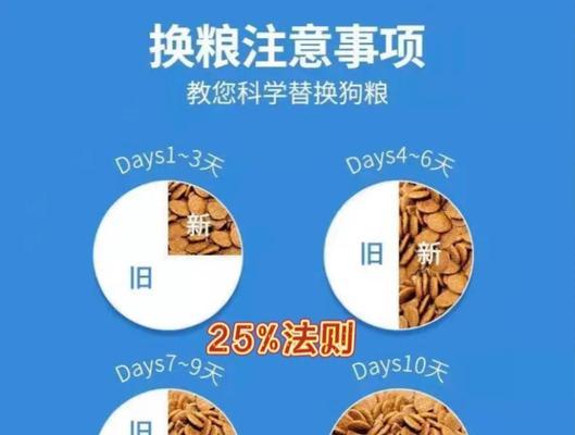 小狗喂食的注意事项（合理的喂食间隔和饮食安排）