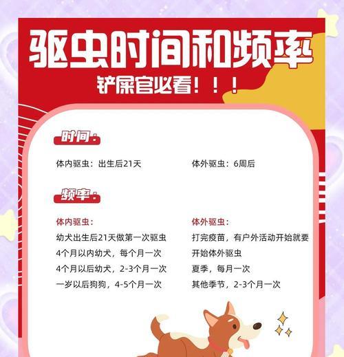 小马犬驱虫指南（保护小马犬健康的必要步骤）