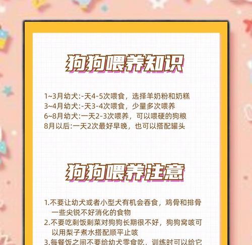 狗狗进食后的最佳遛狗时间（科学指南告诉你狗狗饭后多久适合遛弯）