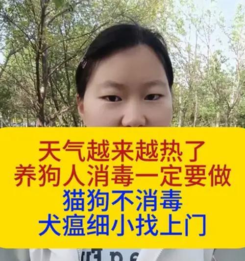 犬瘟狗狗康复后何时可以养狗？（犬瘟狗狗康复时间、症状和养狗适宜期）