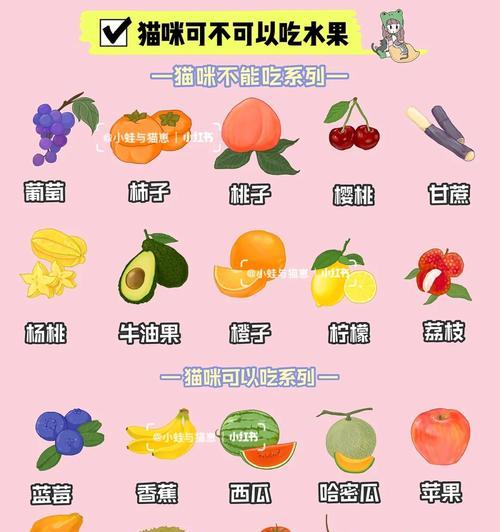 猫吃葡萄后中毒症状详解（了解猫吃葡萄后中毒症状的发生时间及特征）