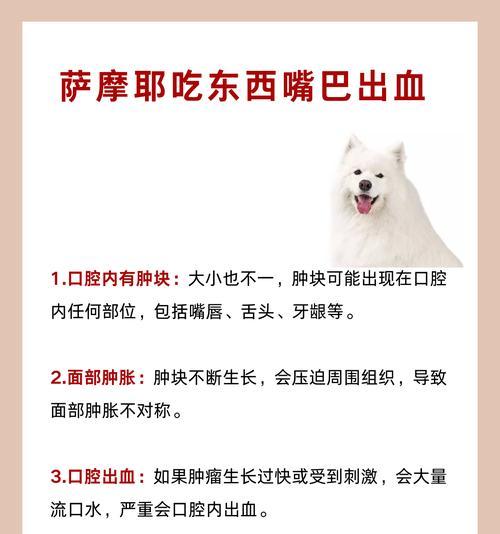 萨摩幼犬何时适合以肉类为主食？（探讨萨摩幼犬在不同阶段食肉的最佳时机）
