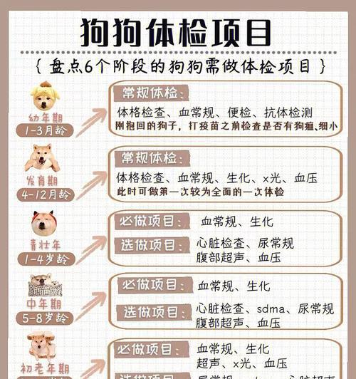 幼犬血常规检查时间及指南（了解幼犬血常规检查的关键步骤和时机，确保宠物健康）