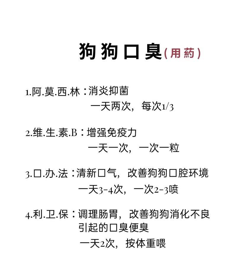 狗狗流口水的原因及治疗方法（探索狗狗流口水的原因，及如何帮助他们恢复健康）