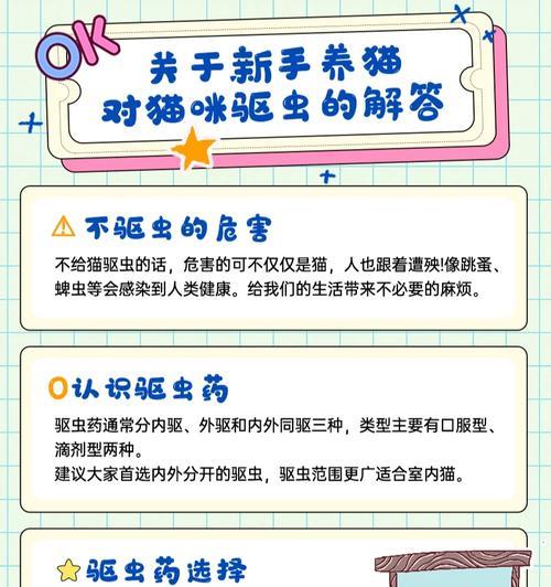 猫咪外驱的最佳频率和方法（保护爱宠健康的关键一步）