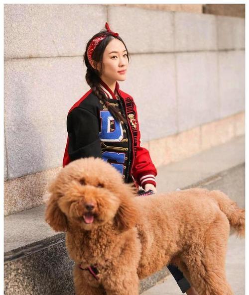 贵宾的诱惑与挑战（揭秘贵宾偷吃的困境和原因，以及如何解决）