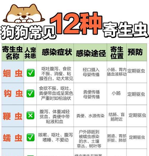 小狗吃完驱虫药后，多久才会拉出虫子？（揭秘小狗驱虫药的工作原理和拉虫周期）
