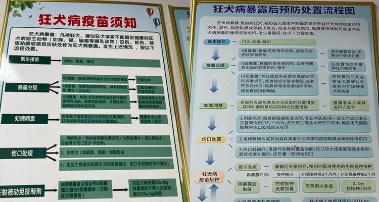 狂犬病的传播途径和应对措施（了解狂犬病的传播途径，合理应对狗咬伤）