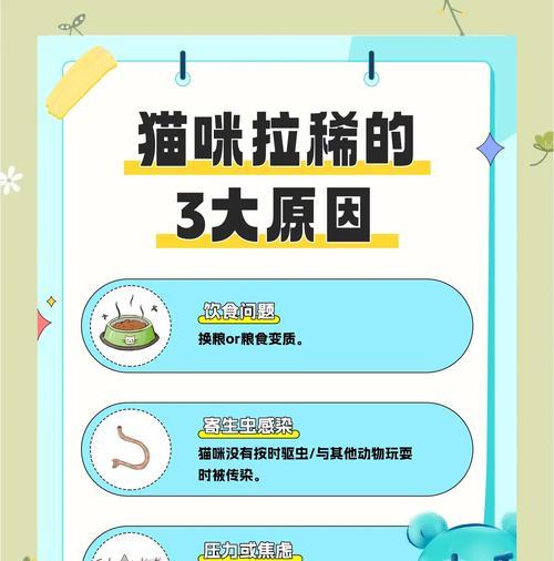 猫咪腹泻了怎么办？（有效应对猫咪腹泻的处理方法）