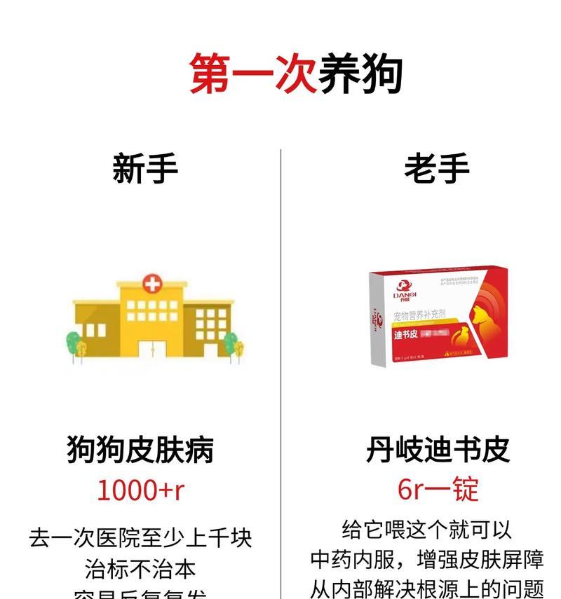 如何处理狗狗皮肤糜烂掉毛问题（有效措施让你的狗狗恢复健康）