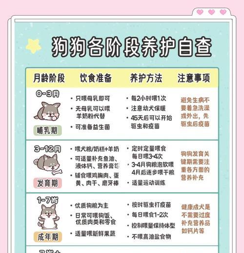 细小狗狗去世后适合养狗的时间（多久才能迎接新的小狗伙伴？）