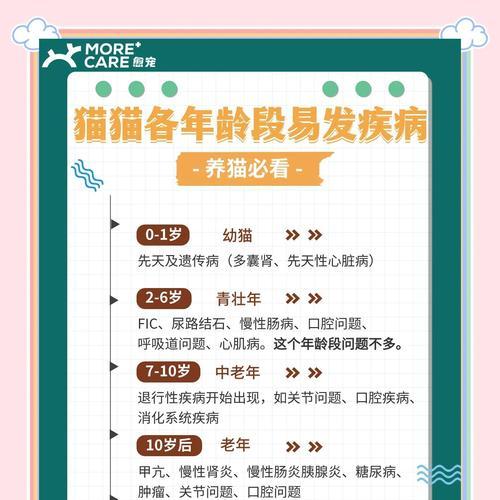 幼猫的常见病及预防措施（保护幼猫健康的关键——预防常见病）