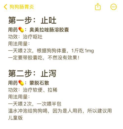 狗狗肠胃炎的最佳药物治疗方案（选择合适的药物是治疗狗狗肠胃炎的关键）