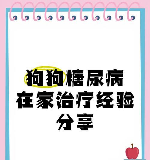 狗狗糖尿病的药物治疗方法（探索药物治疗狗狗糖尿病的关键药物和策略）