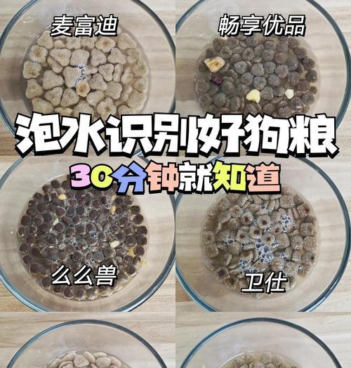 狗粮泡水的最佳时间和方法（优化狗粮泡水时间的窍门）