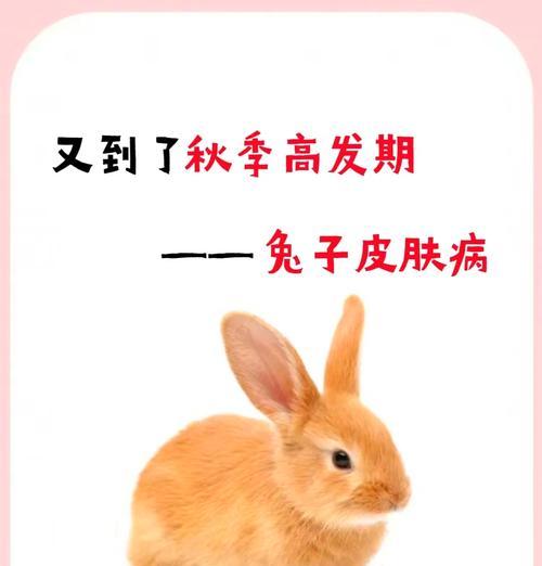 兔子脚炎的成因与预防措施（揭秘兔子脚炎，了解关键因素及预防方法）