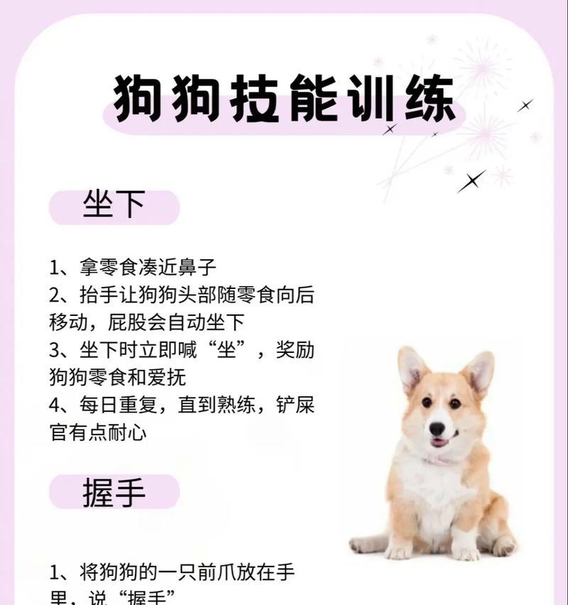 养宠经验（为您的爱宠提供最佳护理，了解驱虫的时间表）