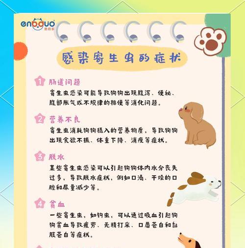 狗的驱虫频率及注意事项（以一岁多的狗多久驱虫一次，）