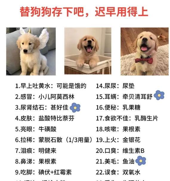 《从0-12月，你需要知道的狗狗养护手册》（新手养狗必看！为你提供全面的狗狗护理知识）