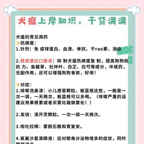 狗瘟腹泻症状与持续时间的探究（狗瘟腹泻持续多久？了解关键因素及治疗方式）