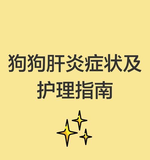 狗狗肝病的常见症状及其意义（了解你的狗狗是否患有肝病的关键指标）