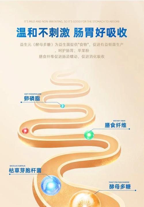 以边牧犬一袋狗粮能吃多久？（探究边牧犬食量与狗粮消耗的关系）