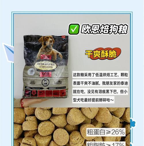 狗狗的健康零食（探索狗狗与坚果之间的特殊关系）