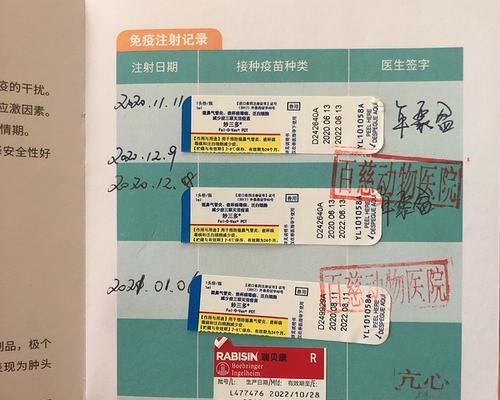 银狐犬疫苗接种频率（为了宠物健康，你应该知道的关键信息）