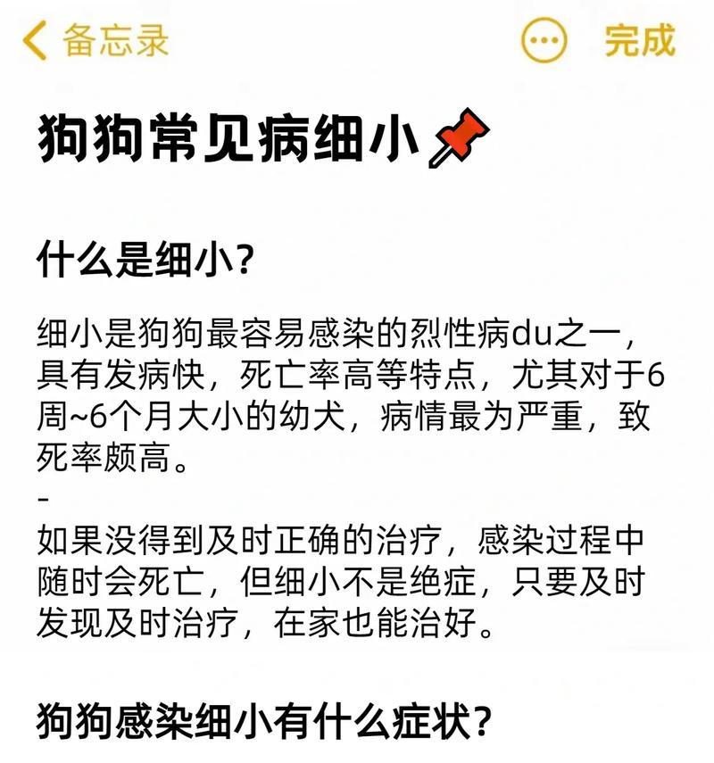 宠物细小疫苗接种时间的重要性（了解细小疫苗接种的最佳时机，保护宠物健康）
