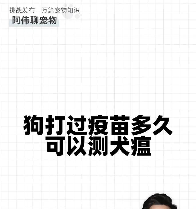 小狗疫苗接种时间表与注意事项（为保护小狗健康，正确掌握疫苗接种时间是关键）