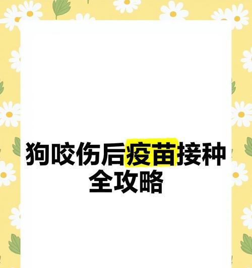 狗咬后打针的有效时间（保护你的健康，及时接种疫苗！）