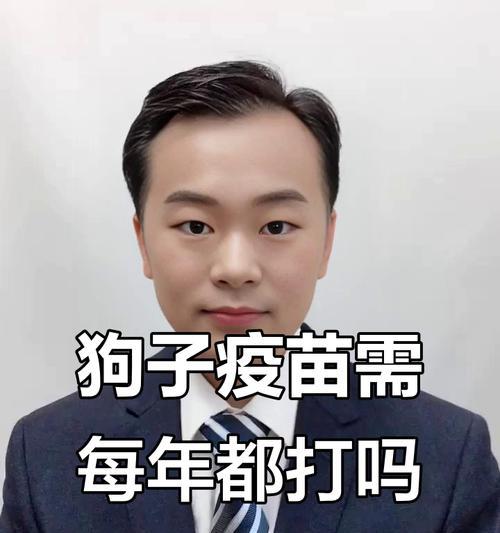 狗狗接种疫苗的全程及时间安排（狗狗打疫苗需谨慎，合理安排接种时间）