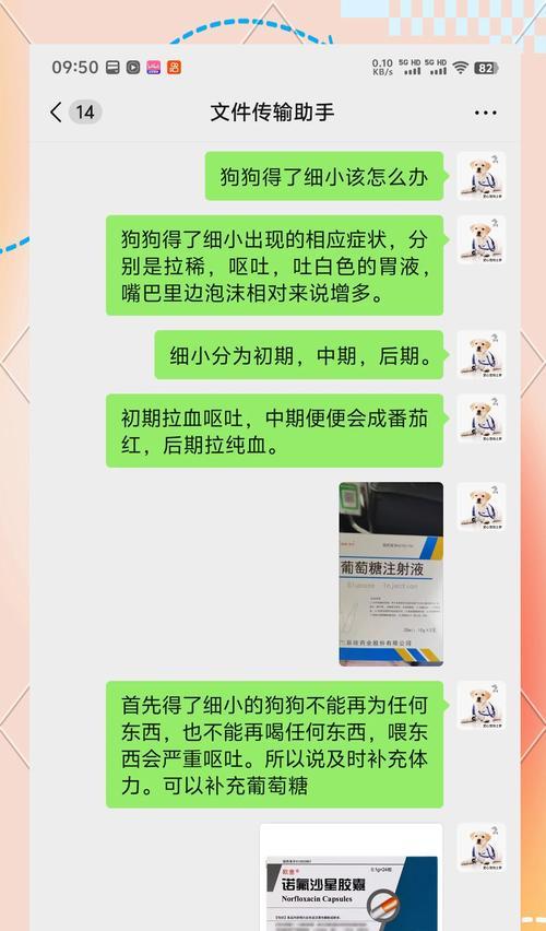 细小狗的生命之谜（探索细小狗寿命长短的奥秘）